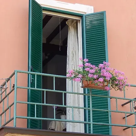 Il Moro Selvatico *