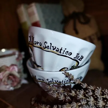 Il Moro Selvatico