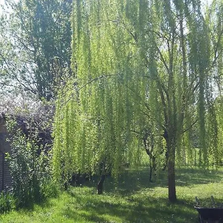 Il Moro Selvatico Frühstückspension Poviglio (Reggio Emilia)
