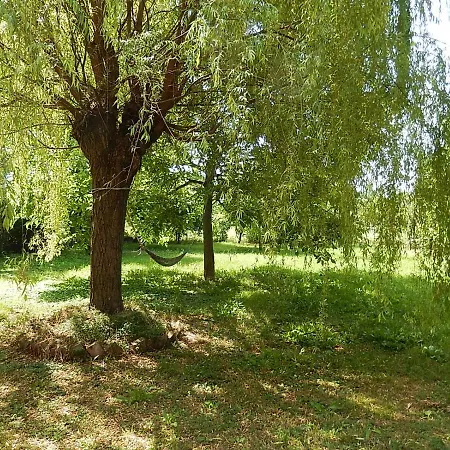 Il Moro Selvatico Bed & Breakfast Poviglio (Reggio Emilia)