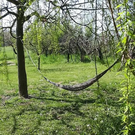 Il Moro Selvatico Poviglio (Reggio Emilia)