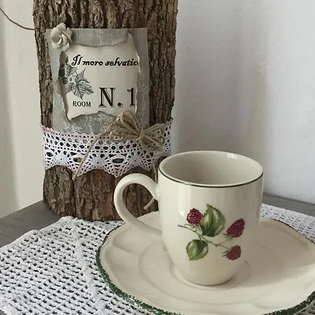Bed & Breakfast Il Moro Selvatico Poviglio (Reggio Emilia)