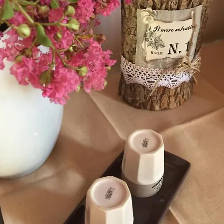 Il Moro Selvatico Bed & Breakfast *