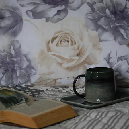 Bed & Breakfast Il Moro Selvatico Poviglio (Reggio Emilia)