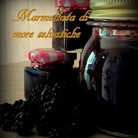 Il Moro Selvatico Bed & Breakfast *