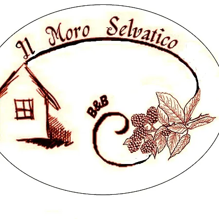 Il Moro Selvatico 3* Poviglio (Reggio Emilia)